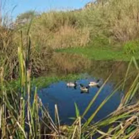 Holidays アパート Cala En Porter (Menorca)