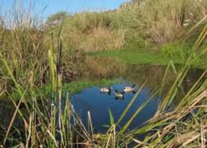 Holidays شقة Cala En Porter (Menorca)